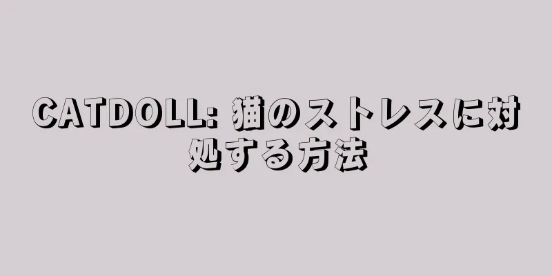CATDOLL: 猫のストレスに対処する方法