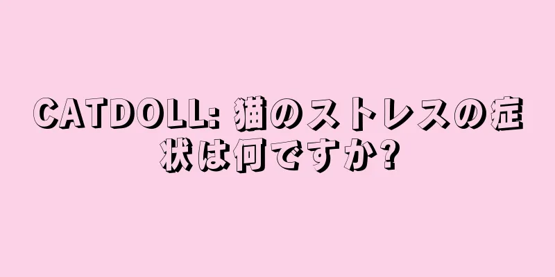 CATDOLL: 猫のストレスの症状は何ですか?
