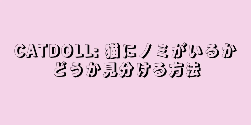 CATDOLL: 猫にノミがいるかどうか見分ける方法