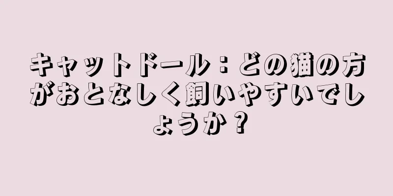 キャットドール：どの猫の方がおとなしく飼いやすいでしょうか？