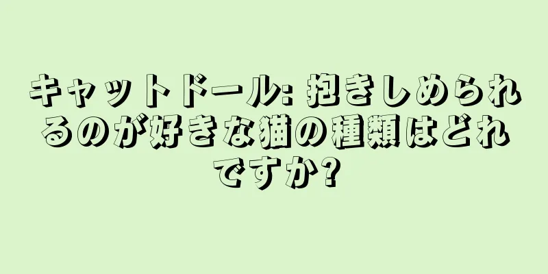 キャットドール: 抱きしめられるのが好きな猫の種類はどれですか?