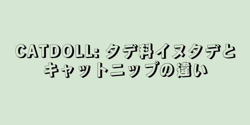CATDOLL: タデ科イヌタデとキャットニップの違い
