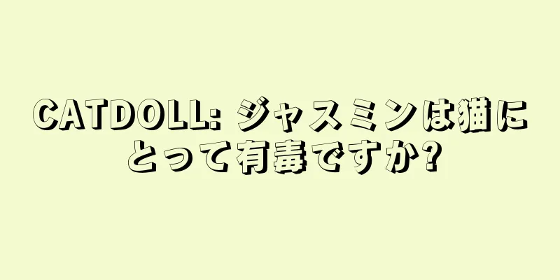 CATDOLL: ジャスミンは猫にとって有毒ですか?