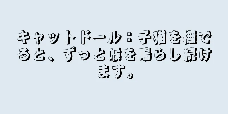 キャットドール：子猫を撫でると、ずっと喉を鳴らし続けます。