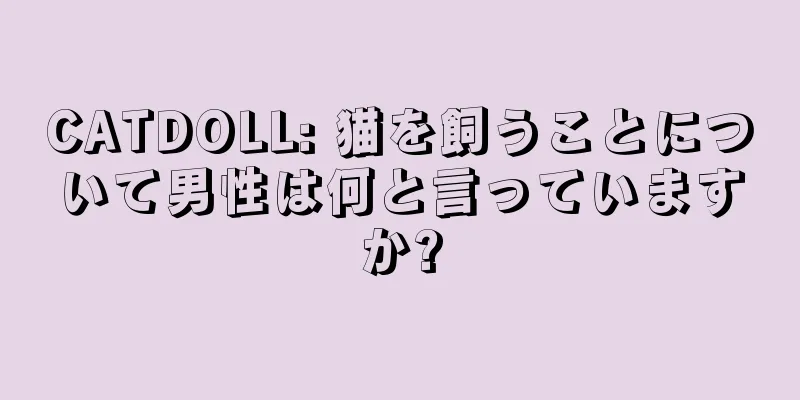 CATDOLL: 猫を飼うことについて男性は何と言っていますか?