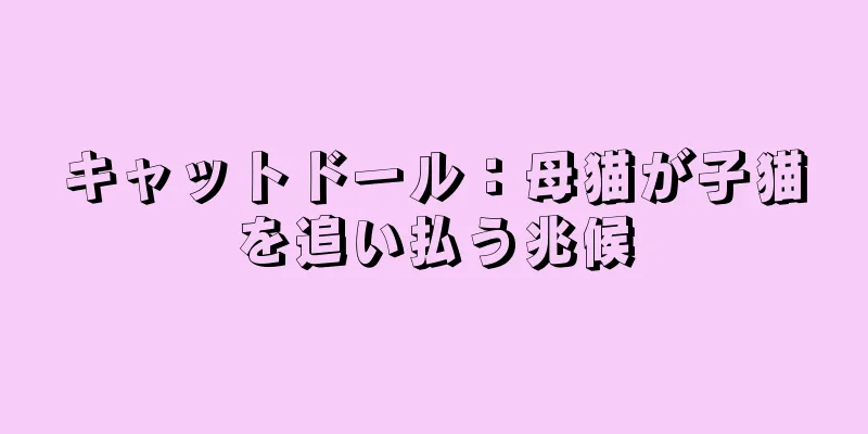 キャットドール：母猫が子猫を追い払う兆候