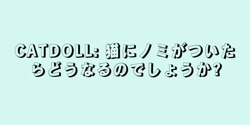 CATDOLL: 猫にノミがついたらどうなるのでしょうか?