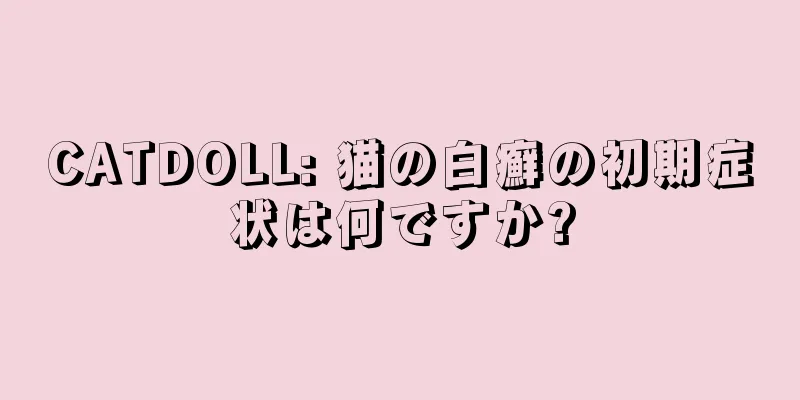 CATDOLL: 猫の白癬の初期症状は何ですか?