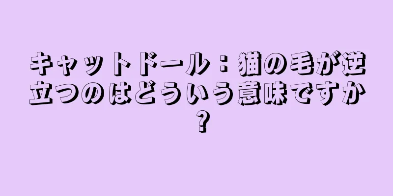 キャットドール：猫の毛が逆立つのはどういう意味ですか？