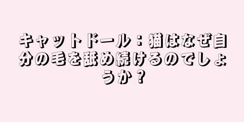 キャットドール：猫はなぜ自分の毛を舐め続けるのでしょうか？