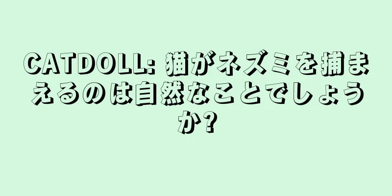 CATDOLL: 猫がネズミを捕まえるのは自然なことでしょうか?