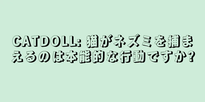 CATDOLL: 猫がネズミを捕まえるのは本能的な行動ですか?