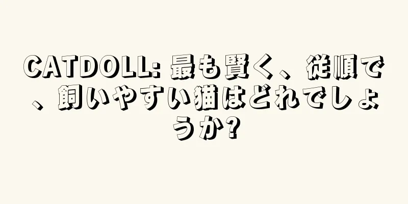 CATDOLL: 最も賢く、従順で、飼いやすい猫はどれでしょうか?