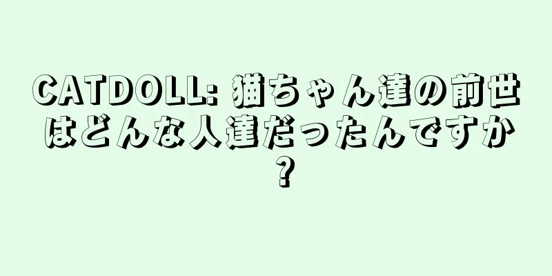 CATDOLL: 猫ちゃん達の前世はどんな人達だったんですか？