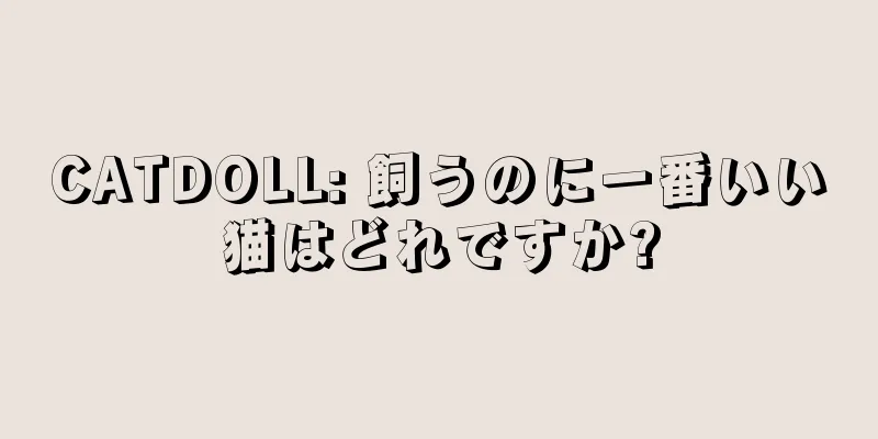 CATDOLL: 飼うのに一番いい猫はどれですか?