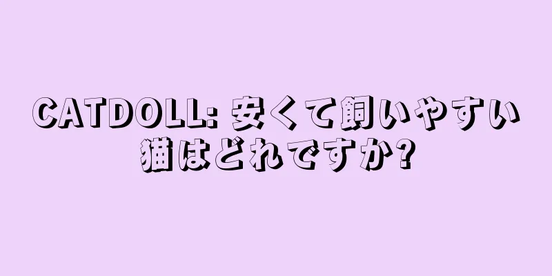 CATDOLL: 安くて飼いやすい猫はどれですか?