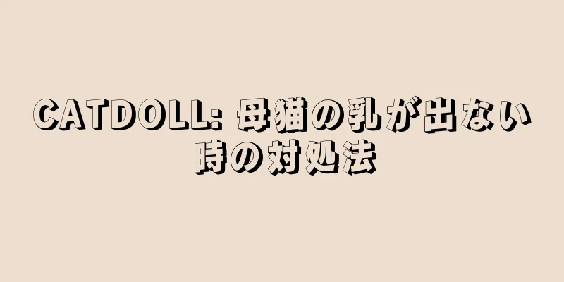 CATDOLL: 母猫の乳が出ない時の対処法