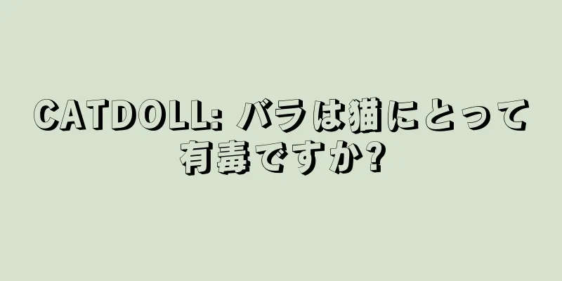 CATDOLL: バラは猫にとって有毒ですか?