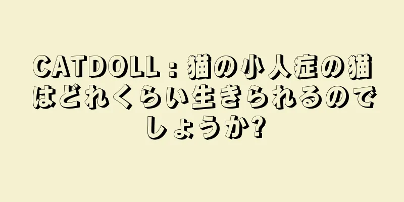 CATDOLL : 猫の小人症の猫はどれくらい生きられるのでしょうか?