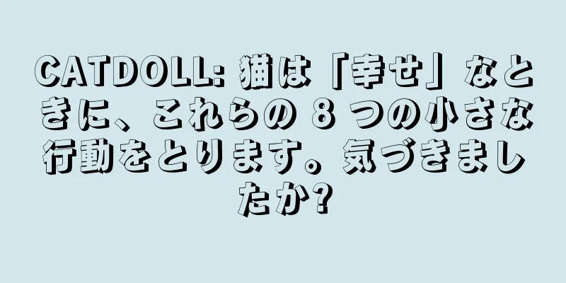 CATDOLL: 猫は「幸せ」なときに、これらの 8 つの小さな行動をとります。気づきましたか?