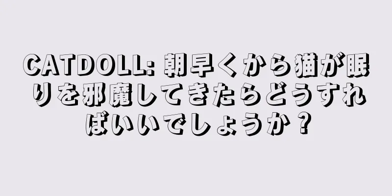 CATDOLL: 朝早くから猫が眠りを邪魔してきたらどうすればいいでしょうか？