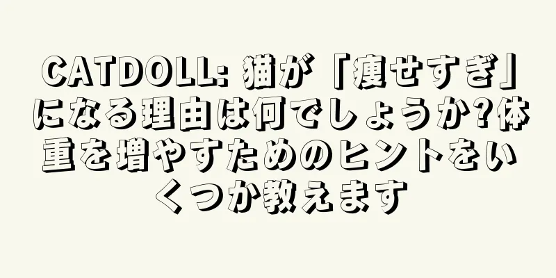 CATDOLL: 猫が「痩せすぎ」になる理由は何でしょうか?体重を増やすためのヒントをいくつか教えます