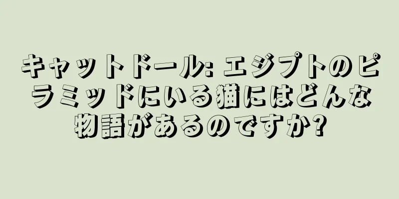 キャットドール: エジプトのピラミッドにいる猫にはどんな物語があるのですか?