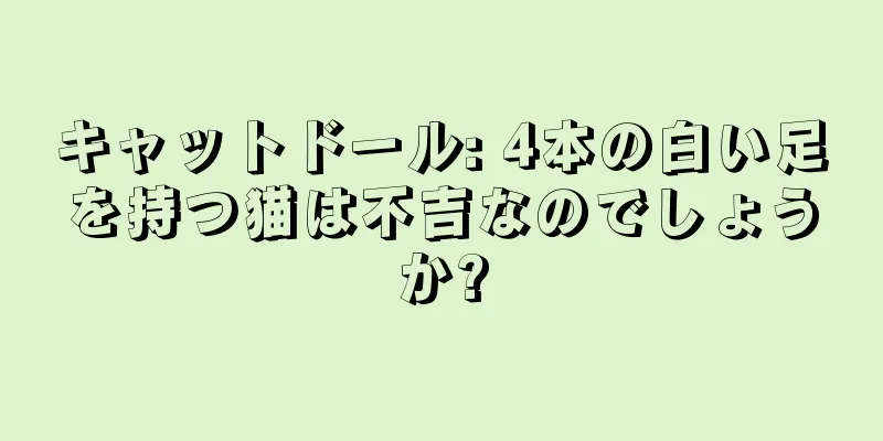 キャットドール: 4本の白い足を持つ猫は不吉なのでしょうか?