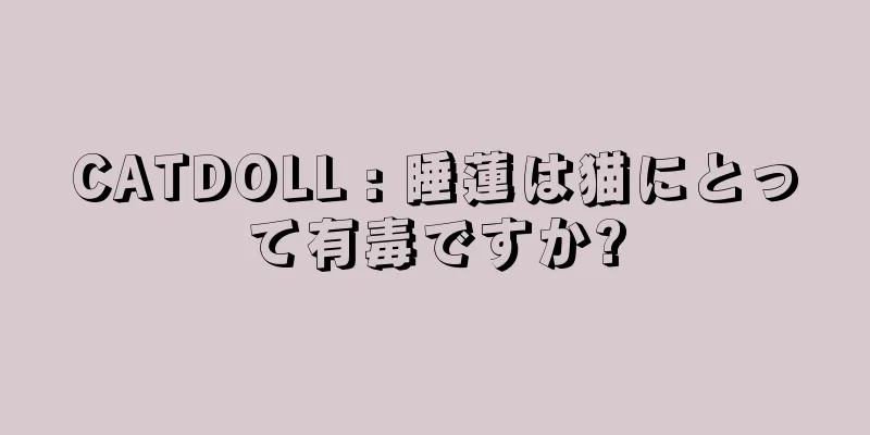 CATDOLL : 睡蓮は猫にとって有毒ですか?