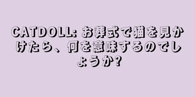 CATDOLL: お葬式で猫を見かけたら、何を意味するのでしょうか?