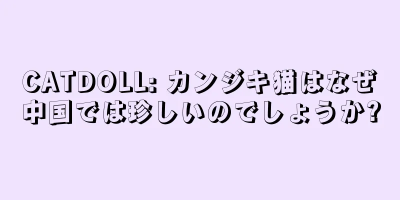 CATDOLL: カンジキ猫はなぜ中国では珍しいのでしょうか?