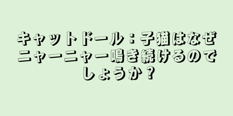 キャットドール：子猫はなぜニャーニャー鳴き続けるのでしょうか？