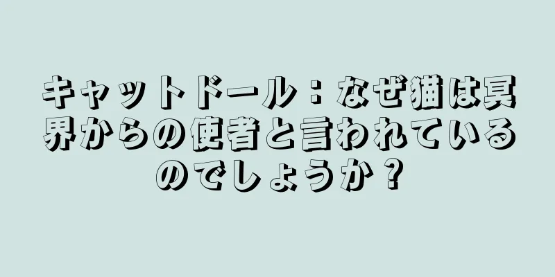 キャットドール：なぜ猫は冥界からの使者と言われているのでしょうか？