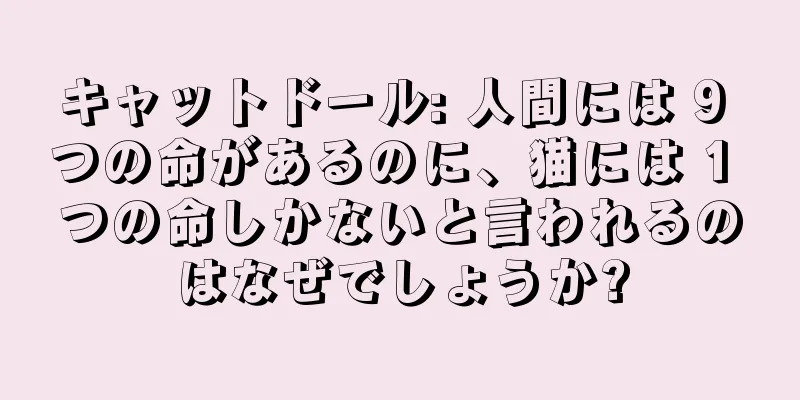 キャットドール: 人間には 9 つの命があるのに、猫には 1 つの命しかないと言われるのはなぜでしょうか?