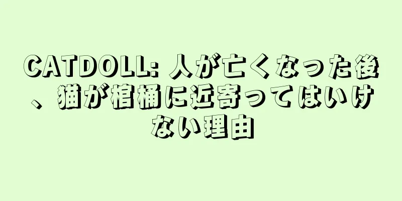 CATDOLL: 人が亡くなった後、猫が棺桶に近寄ってはいけない理由