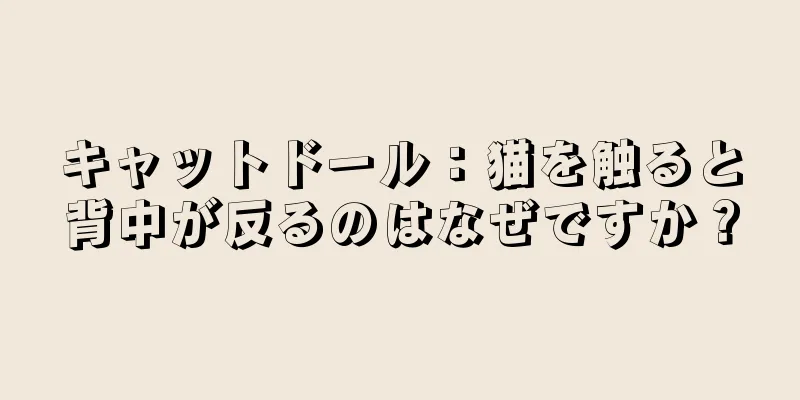 キャットドール：猫を触ると背中が反るのはなぜですか？