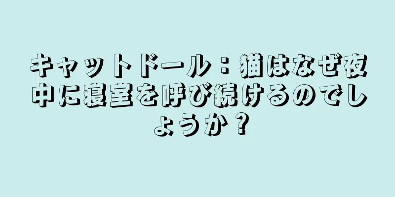 キャットドール：猫はなぜ夜中に寝室を呼び続けるのでしょうか？