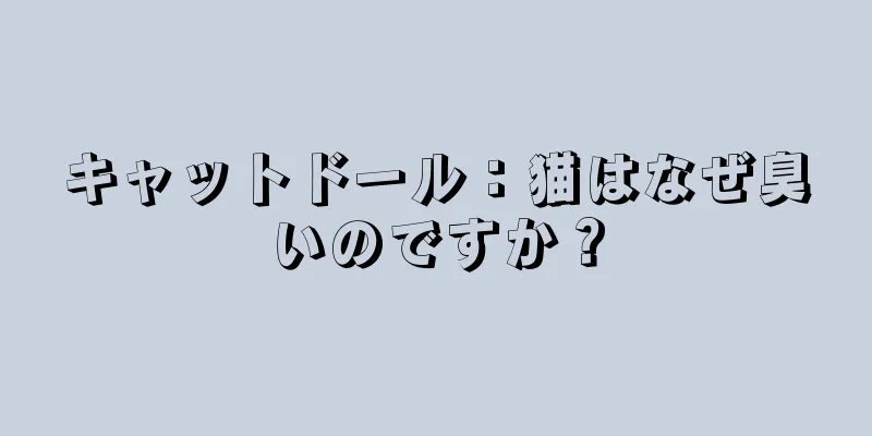 キャットドール：猫はなぜ臭いのですか？