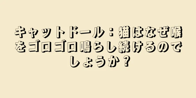 キャットドール：猫はなぜ喉をゴロゴロ鳴らし続けるのでしょうか？