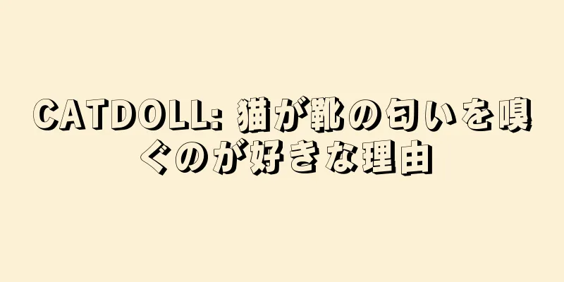 CATDOLL: 猫が靴の匂いを嗅ぐのが好きな理由