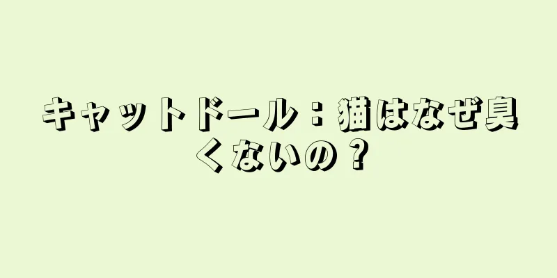 キャットドール：猫はなぜ臭くないの？