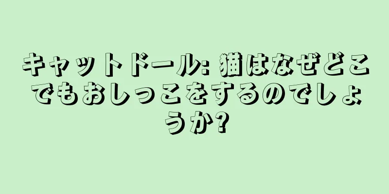 キャットドール: 猫はなぜどこでもおしっこをするのでしょうか?