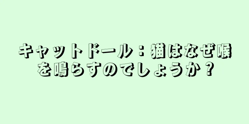 キャットドール：猫はなぜ喉を鳴らすのでしょうか？