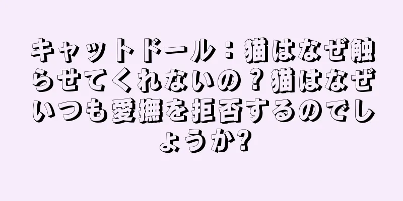 キャットドール：猫はなぜ触らせてくれないの？猫はなぜいつも愛撫を拒否するのでしょうか?