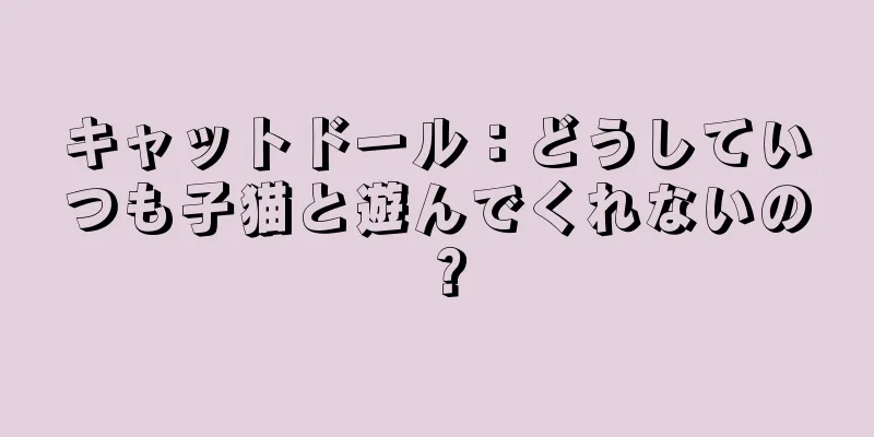 キャットドール：どうしていつも子猫と遊んでくれないの？