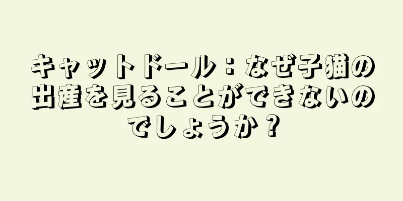 キャットドール：なぜ子猫の出産を見ることができないのでしょうか？