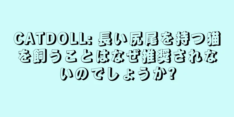 CATDOLL: 長い尻尾を持つ猫を飼うことはなぜ推奨されないのでしょうか?