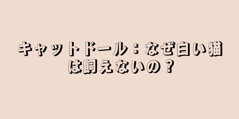 キャットドール：なぜ白い猫は飼えないの？