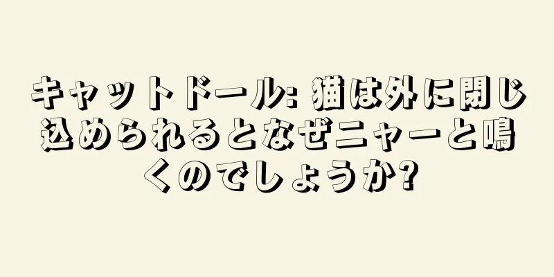キャットドール: 猫は外に閉じ込められるとなぜニャーと鳴くのでしょうか?