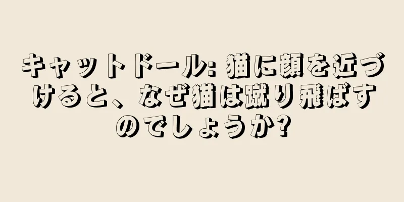 キャットドール: 猫に顔を近づけると、なぜ猫は蹴り飛ばすのでしょうか?